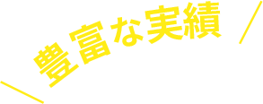 豊富な実績